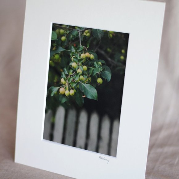 "Apple Harvest" 5x7 Photography Print - Picture 2 of 3